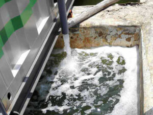 Biogene 300 Treated Water